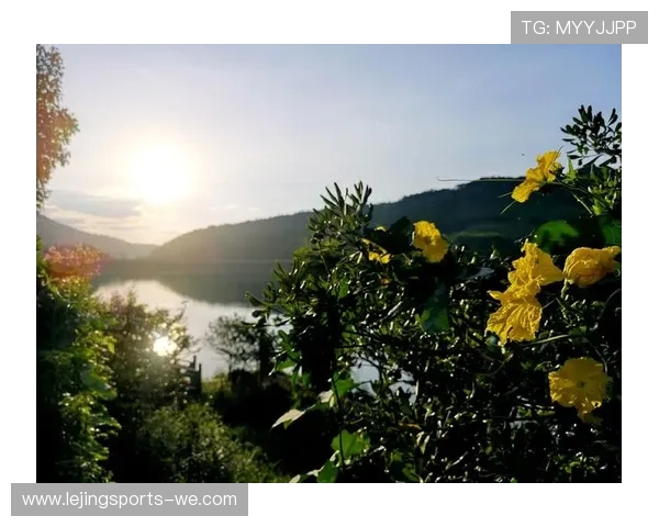 《体育之星：从璀璨赛场到平凡生活，他们的光辉与挑战》